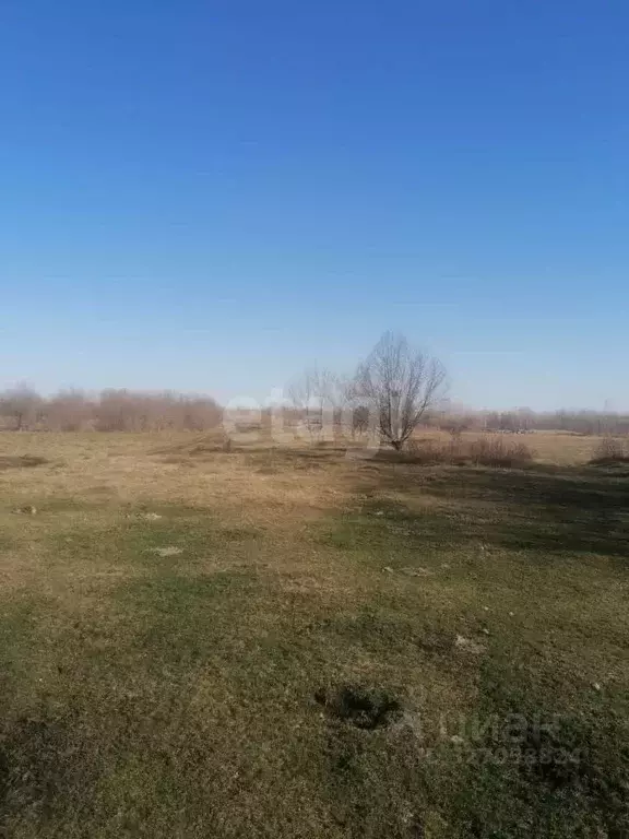 Участок в Алтайский край, Смоленский район, с. Сычевка Советская ул. ... - Фото 1