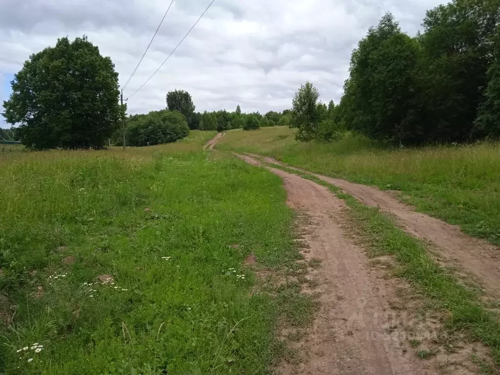 Участок в Владимирская область, Александровский район, д. Следнево  ... - Фото 0