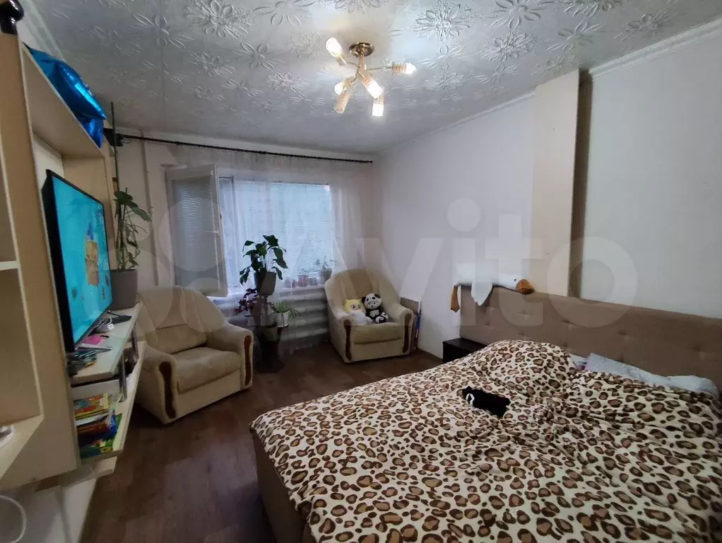 1-к. квартира, 30 м, 3/5 эт. - Фото 1