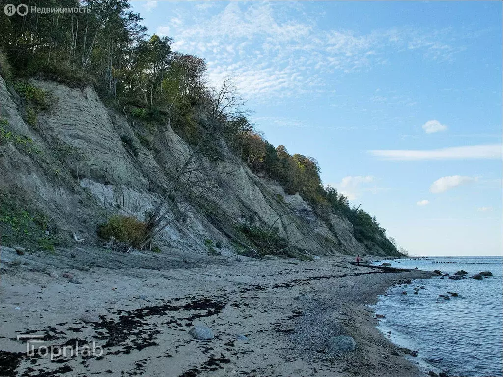 Участок в Лесное, Янтарная улица (15 м) - Фото 1