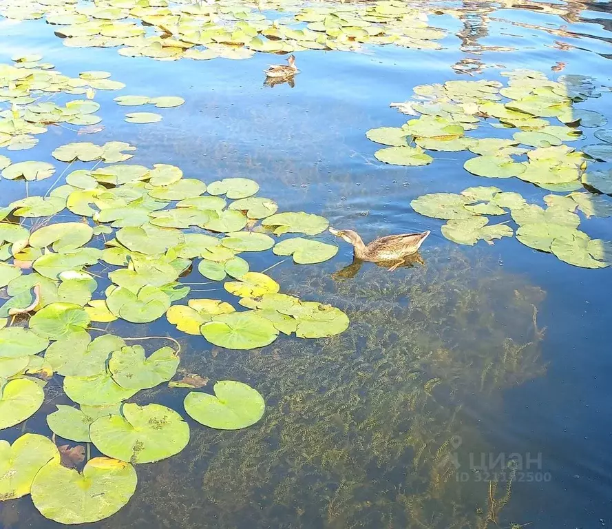 Дом в Московская область, Волоколамский муниципальный округ, Рассвет ... - Фото 1
