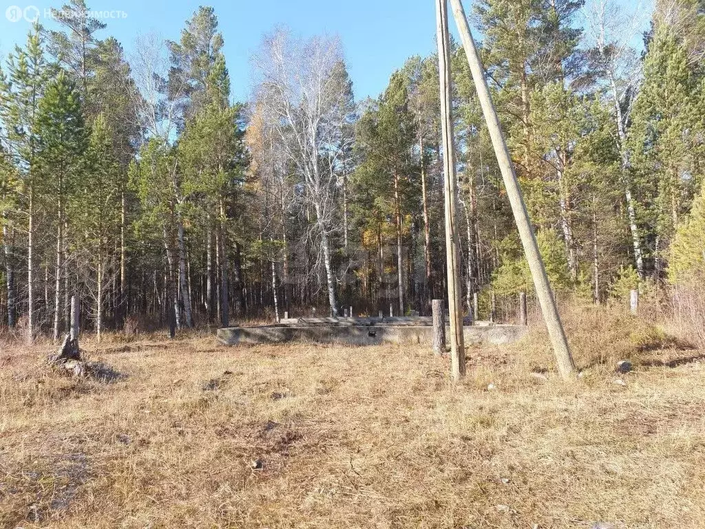 Участок в Аршан, местность Подсобное хозяйство (6.07 м) - Фото 2