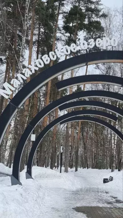 3-к кв. Московская область, Люберцы городской округ, Малаховка пгт ш. ... - Фото 1