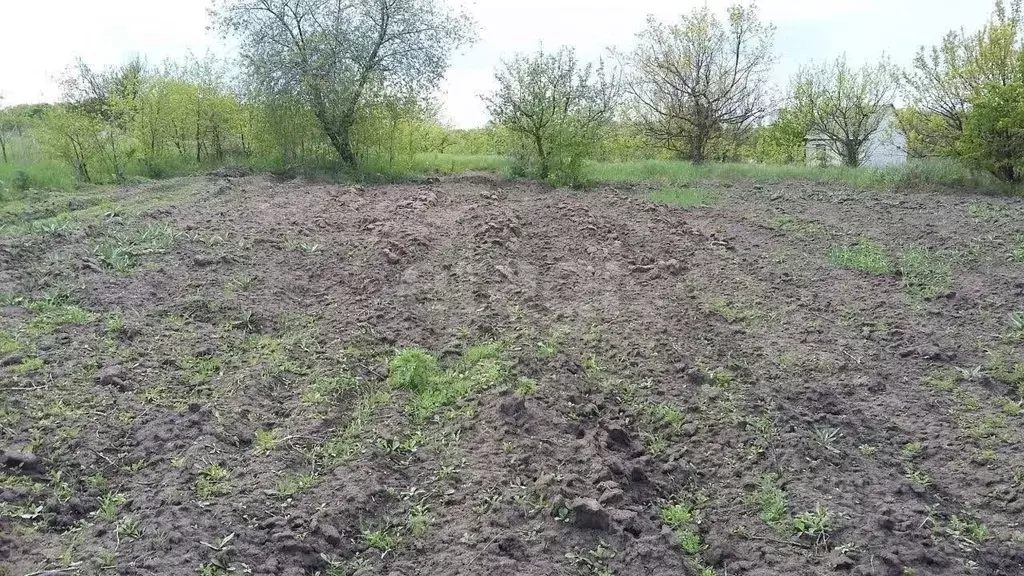 Участок в Белгородская область, Белгородский район, Беломестненское ... - Фото 1