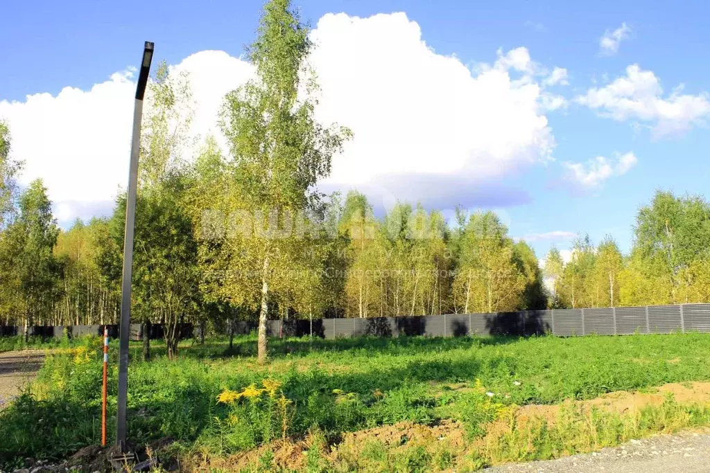 Участок в Тульская область, Заокский район, Малаховское с/пос, Нова ... - Фото 1