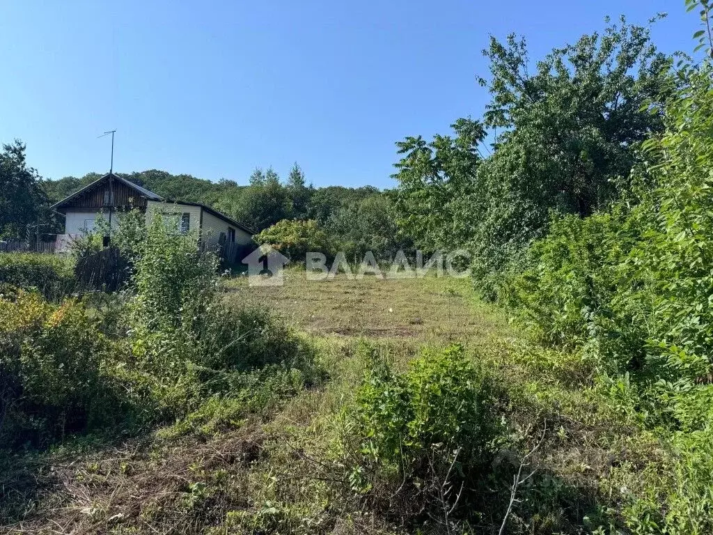 Участок в Амурская область, Благовещенск Садовые участки,  (8.0 сот.) - Фото 0