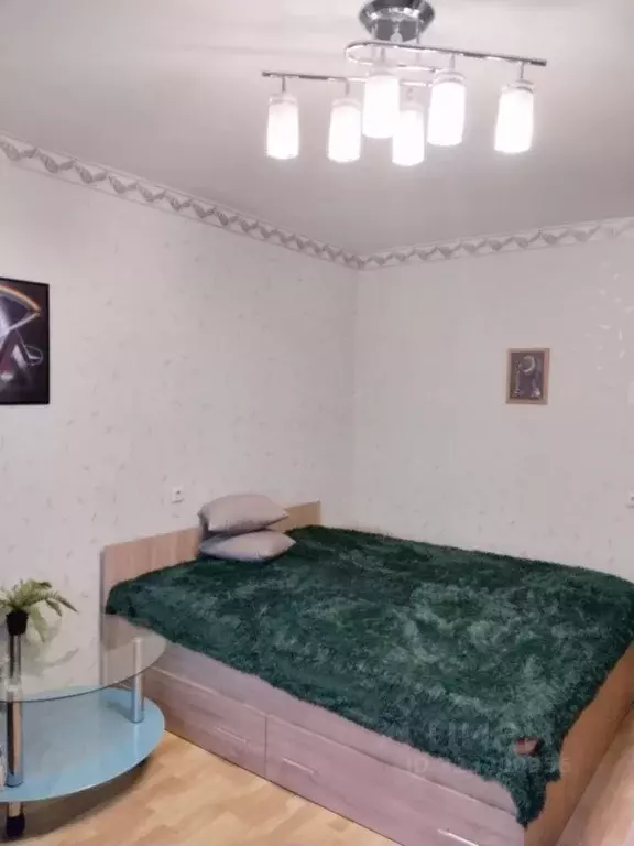 1-к кв. Санкт-Петербург просп. Просвещения, 34 (45.0 м) - Фото 2