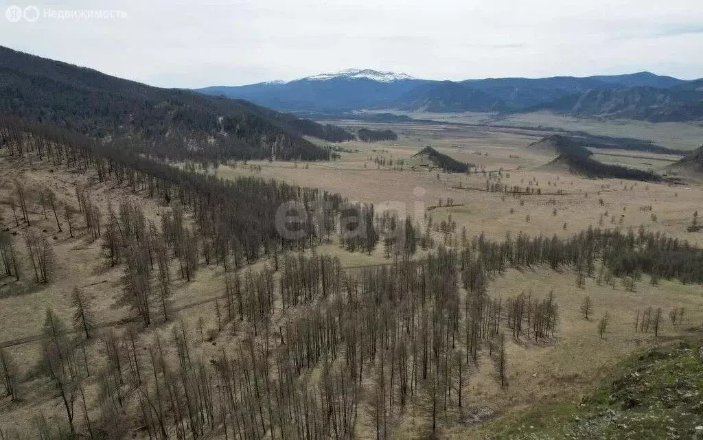 Участок в Онгудайский район, село Ело (130.8 м) - Фото 1