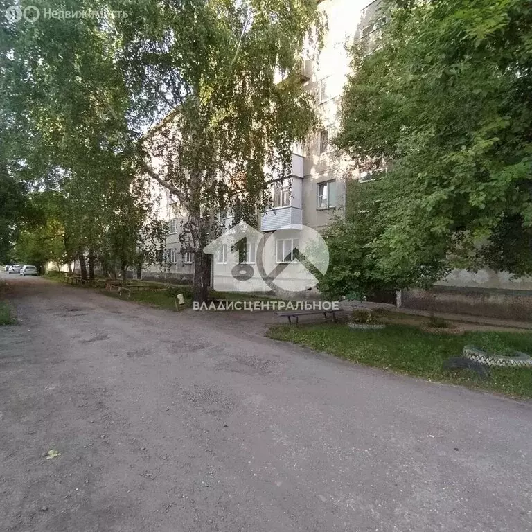 1-комнатная квартира: Мошково, Западная улица, 10 (29 м) - Фото 0