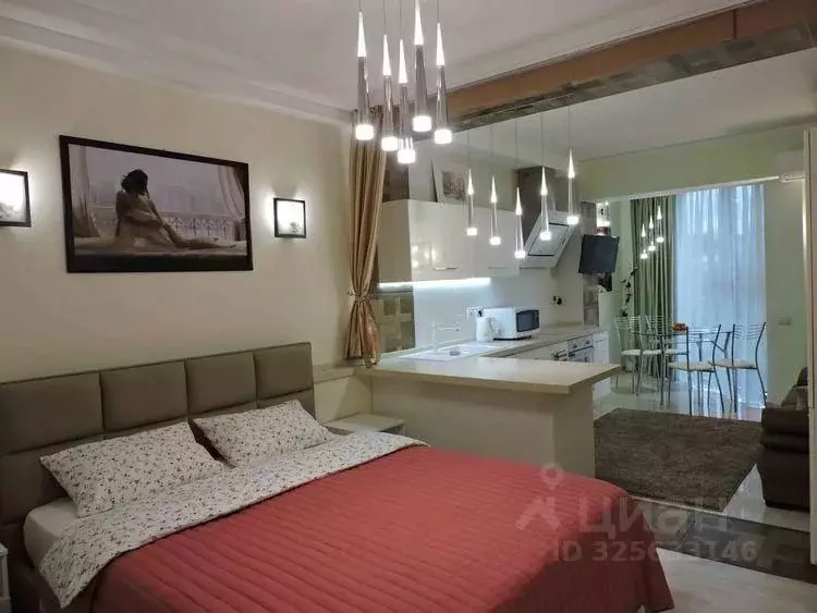 Студия Краснодарский край, Сочи Центральный мкр, ул. Несебрская, 14 ... - Фото 1