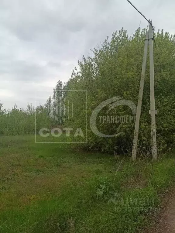 Участок в Воронежская область, с. Новая Усмань ул. Колхозная (12.0 ... - Фото 1