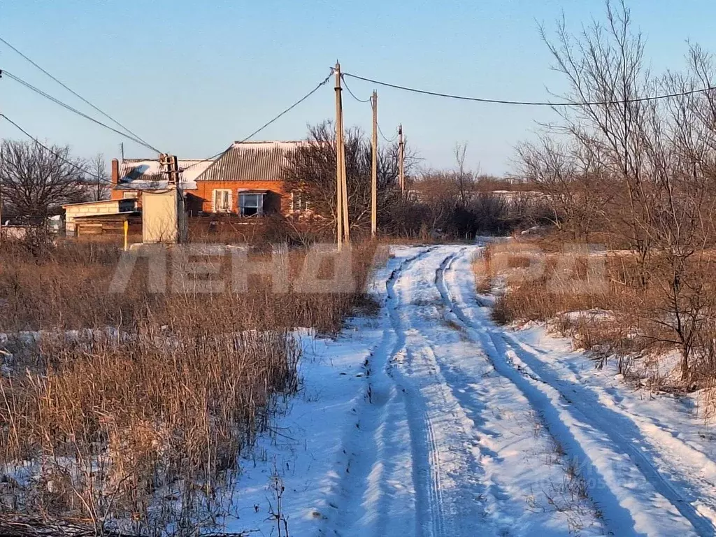 Участок в Ростовская область, Октябрьский район, Бессергеневское ... - Фото 2