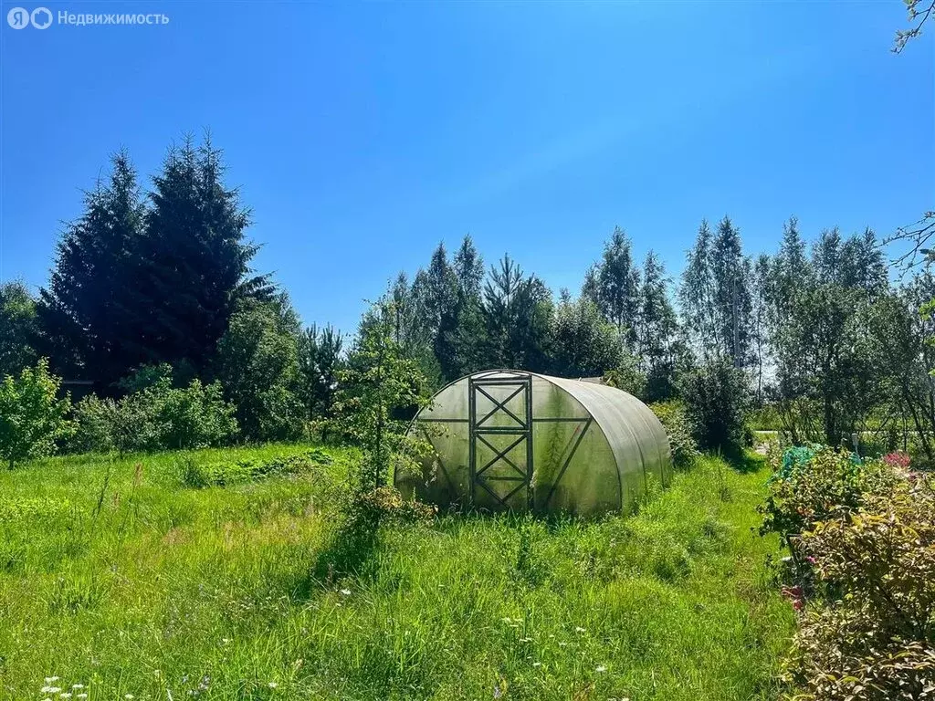 Участок в Ивангородское городское поселение, садоводческое ... - Фото 2