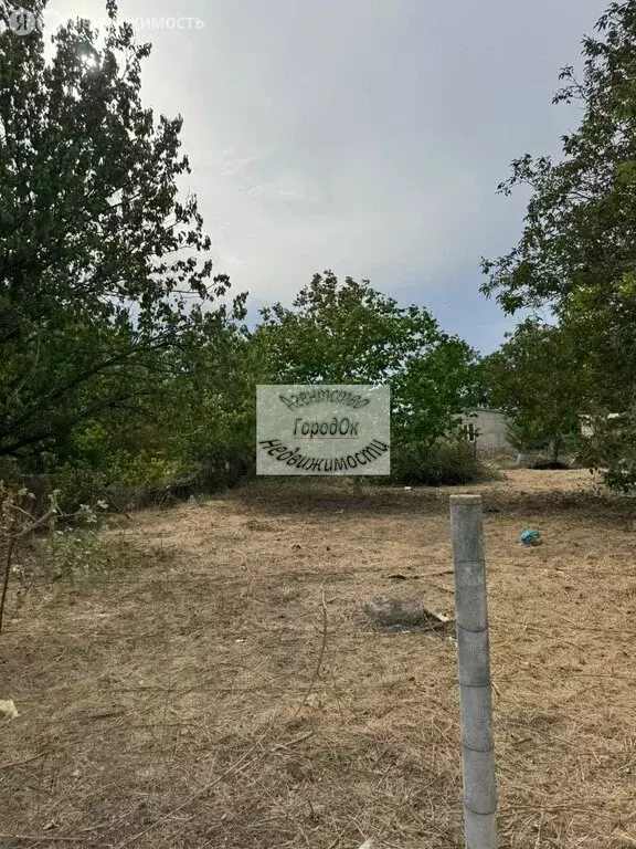 Участок в Сакский район, Ореховское сельское поселение, садоводческий ... - Фото 1