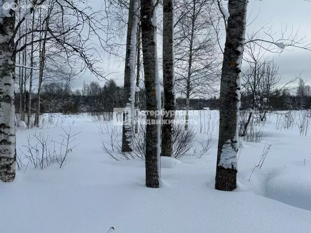 Участок в Рощинское сельское поселение, деревня Борисово, Лесная улица ... - Фото 2