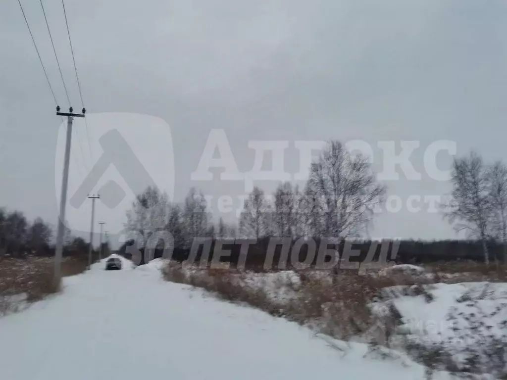 Участок в Тюменская область, Тюмень Березняки СНТ,  (9.03 сот.) - Фото 1