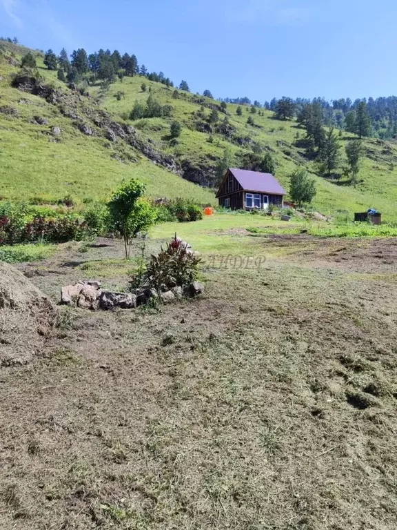 Участок в Алтай, Чемальский район, с. Уожан  (100.0 сот.) - Фото 1