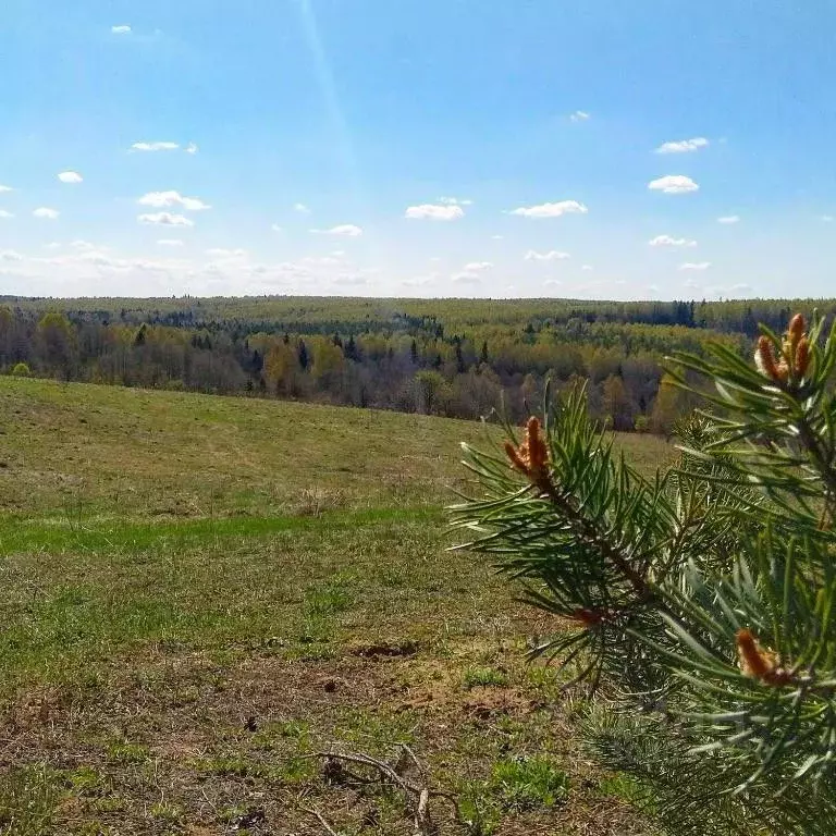 Дом в Ярославская область, Переславль-Залесский пл. Народная (500 м) - Фото 0