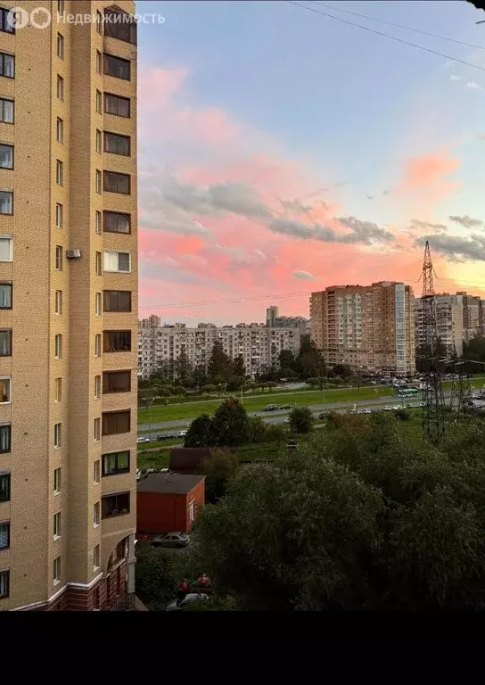 1-комнатная квартира: Санкт-Петербург, Витебский проспект, 63 (30 м) - Фото 1