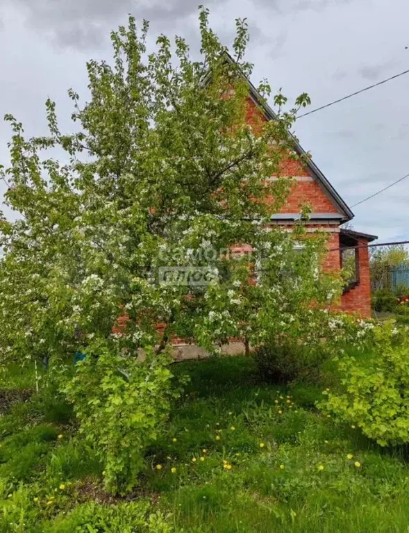 Дом в Татарстан, Нижнекамск муниципальное образование, д. Дмитриевка  ... - Фото 2