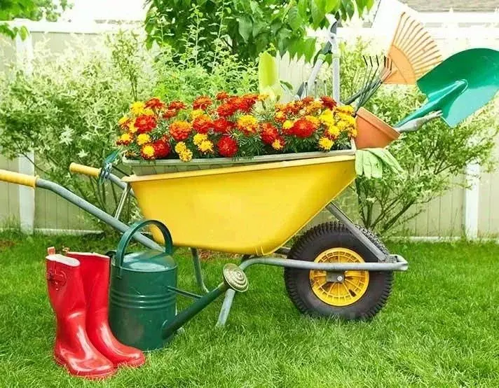 Участок в Омская область, Омский район, Магистральное с/пос, Деревня ... - Фото 1