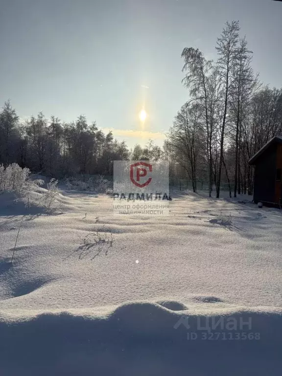 Участок в Ярославская область, Переславль-Залесский муниципальный ... - Фото 2