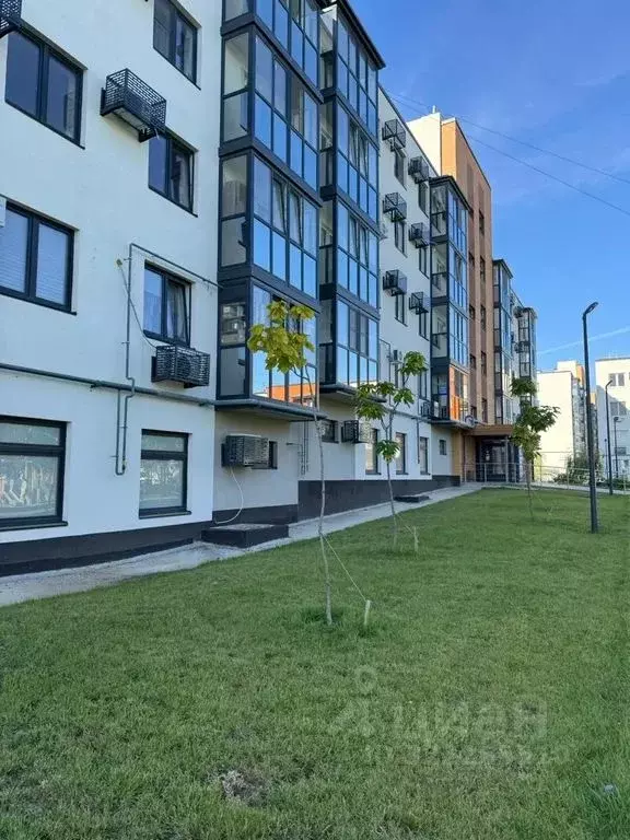 1-к кв. Волгоградская область, Волгоград ул. Иссы Плиева, 17 (32.0 м) - Фото 1