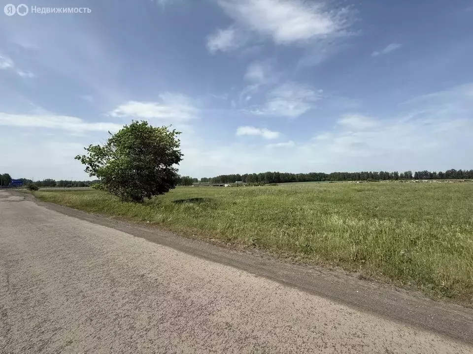 Участок в село Козьмодемьяновская Криуша, улица Чичканова (250 м) - Фото 2