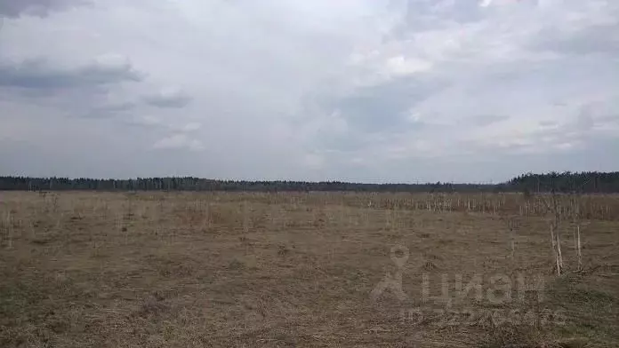 Участок в Пермский край, Пермский муниципальный округ, д. Качка  ... - Фото 1