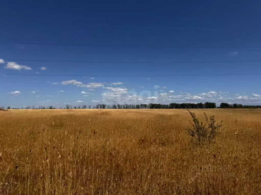 Участок в Крым, Симферопольский район, Николаевское с/пос, с. ... - Фото 2