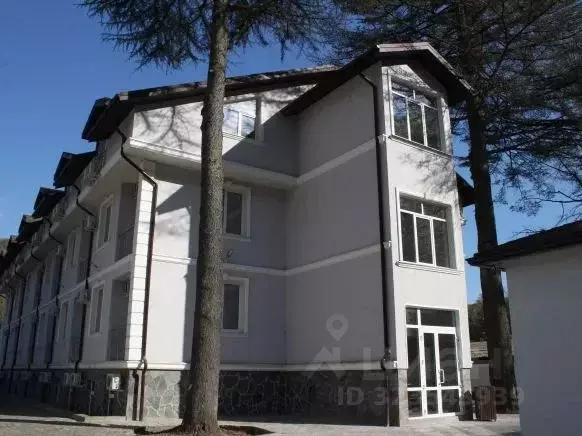 Студия Краснодарский край, Сочи ул. Чекменева, 18 (16.1 м) - Фото 2