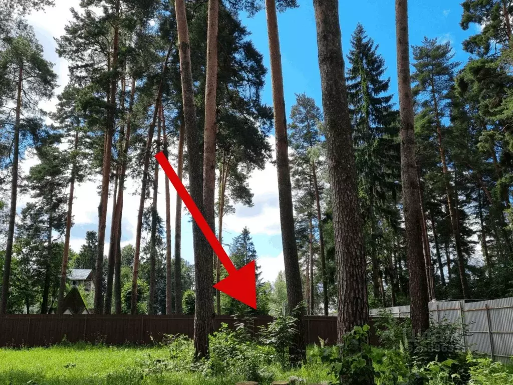 Участок в Московская область, Ступино городской округ, с. Семеновское  ... - Фото 1