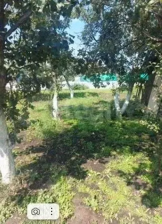 Участок в Башкортостан, Уфимский район, д. Алексеевка  (10.0 сот.) - Фото 2