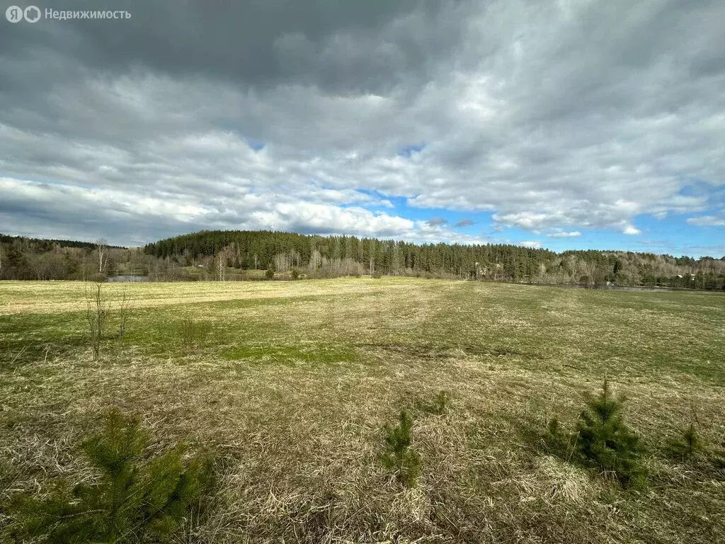 Участок в Выборгский район, Каменногорское городское поселение, ... - Фото 1