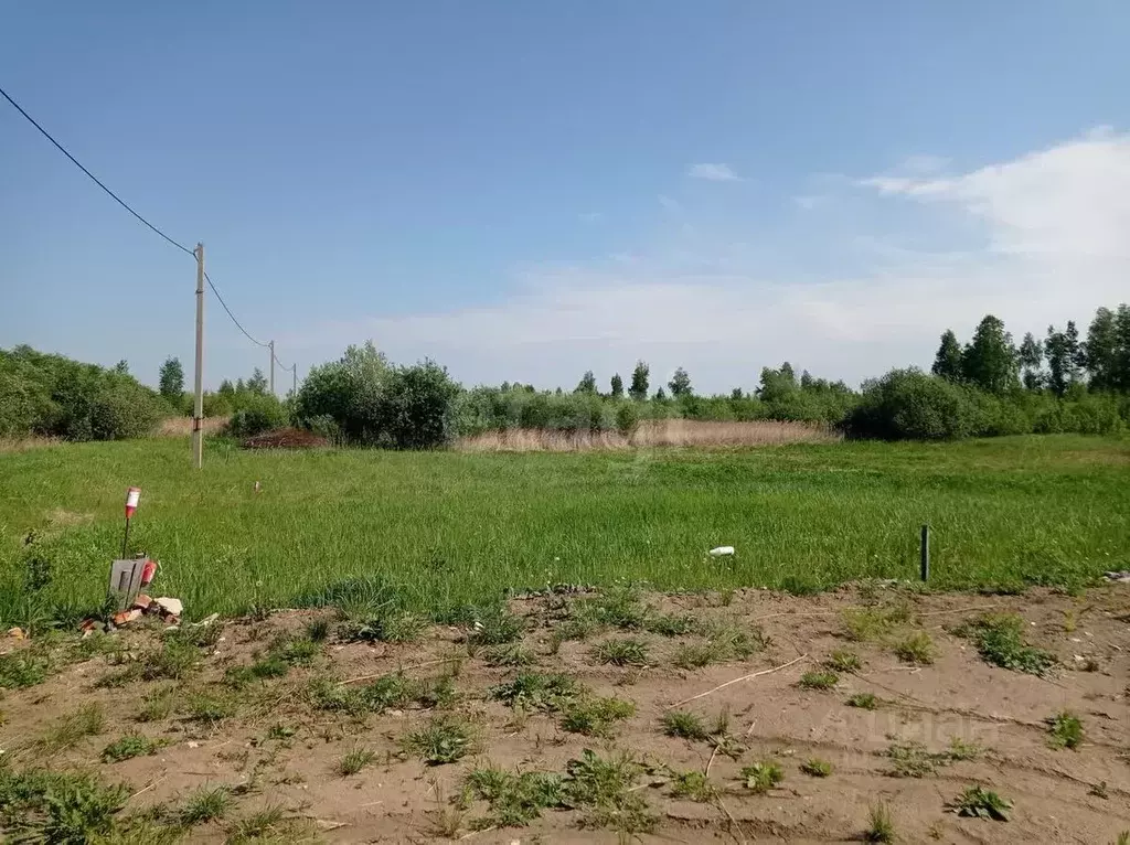 Участок в Тюменская область, Тюмень Садовое товарищество Липовый ... - Фото 1