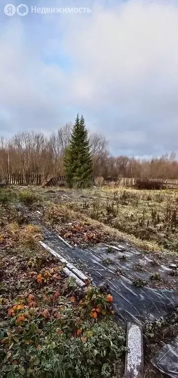 Дом в Архангельская область, Котласский муниципальный округ, деревня ... - Фото 1