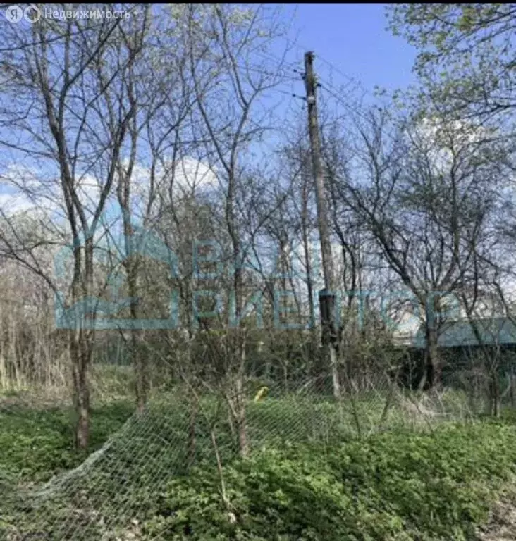 Участок в Калужская область, Боровский муниципальный округ, деревня ... - Фото 2