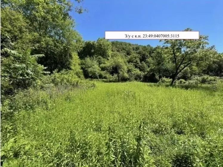 Участок в Краснодарский край, Сочи Якорная ул. (9.0 сот.) - Фото 2