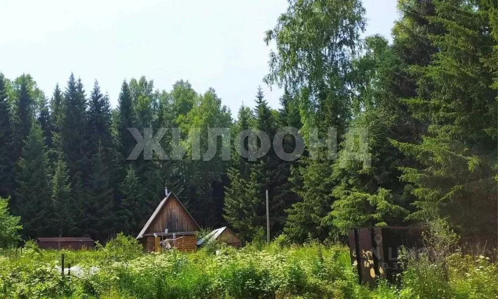 Участок в Новосибирская область, Новосибирский район, Барышевский ... - Фото 2