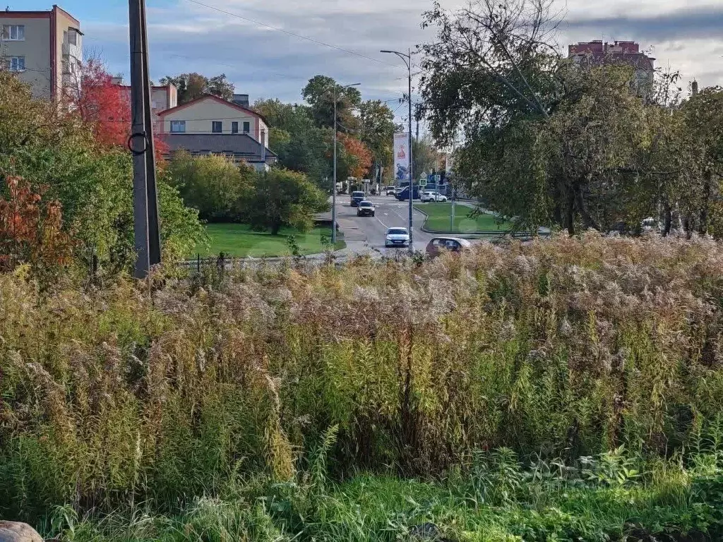 Участок в Калининградская область, Гурьевск  (8.4 сот.) - Фото 1