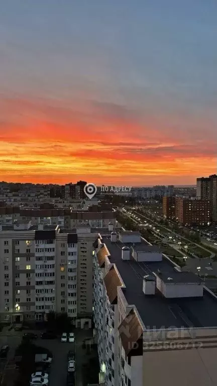 1-к кв. Саратовская область, Саратов просп. Героев Отечества, 3 (40.0 ... - Фото 1