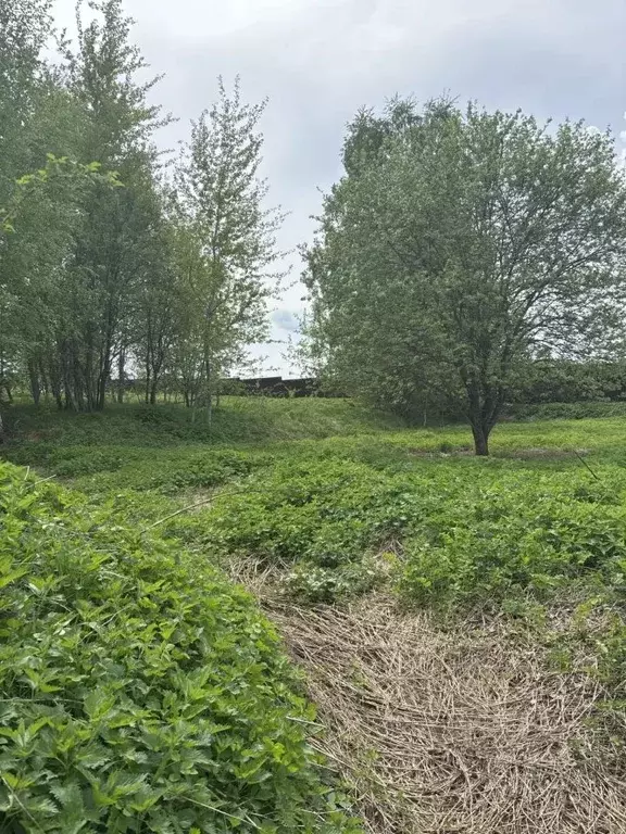 Участок в Московская область, Ступино городской округ, с. Мышенское  ... - Фото 1