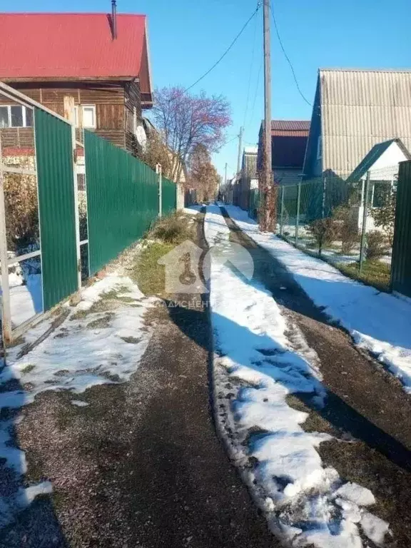 Участок в Новосибирская область, Искитим Зеленый Луг садовое ... - Фото 1