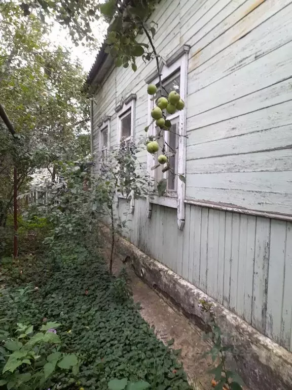 Дом в Тамбовская область, Тамбов городской округ, с. Бокино ул. ... - Фото 1