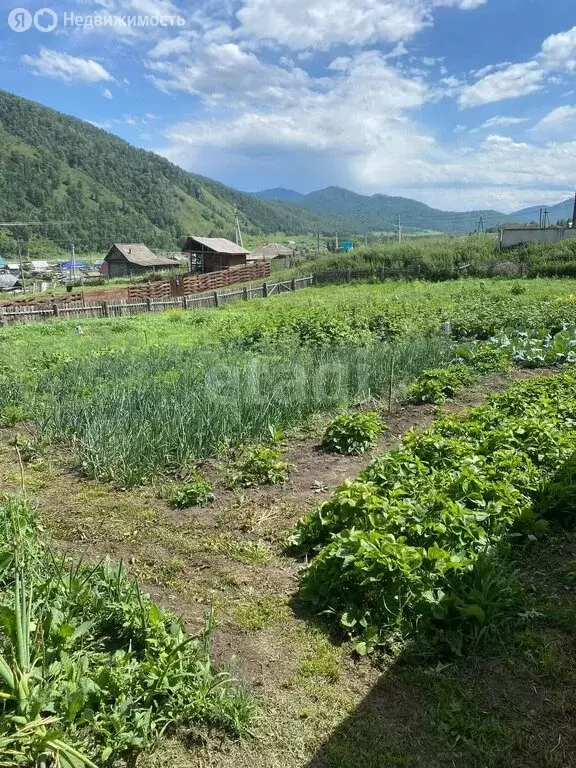 Участок в Шебалинский район, село Черга (20 м) - Фото 1