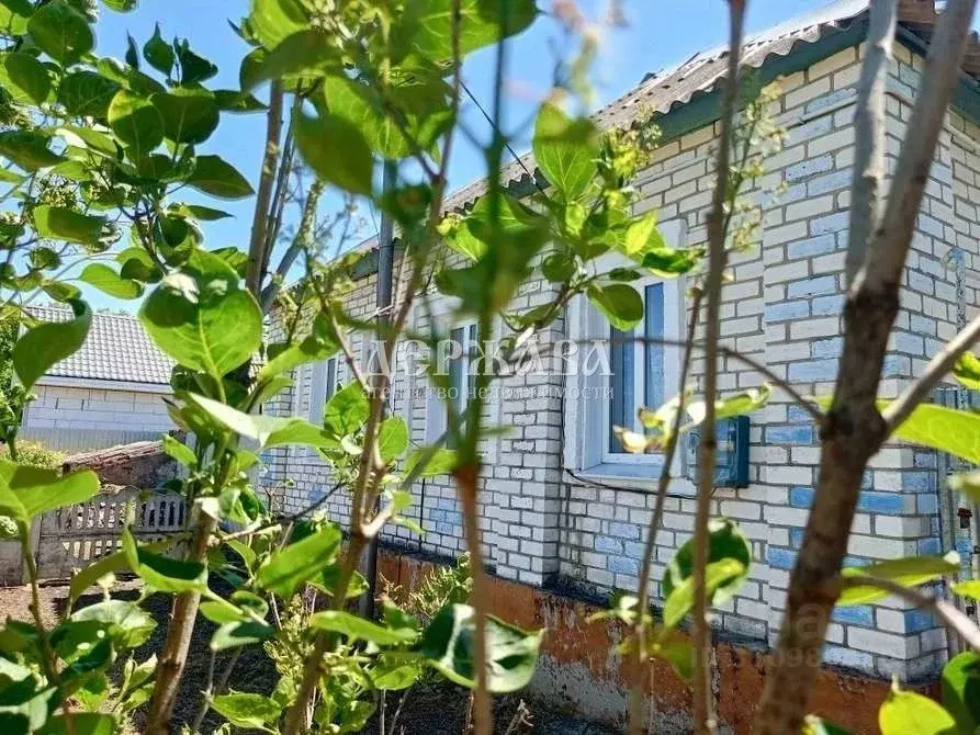 Дом в Белгородская область, Старооскольский городской округ, с. ... - Фото 2
