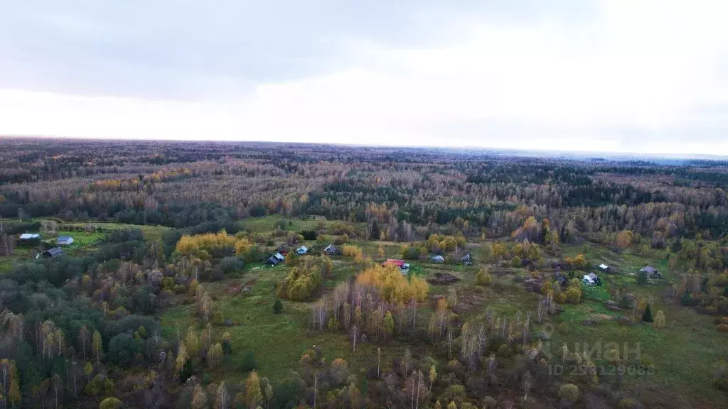 Участок в Тверская область, Селижаровский муниципальный округ, д. ... - Фото 1