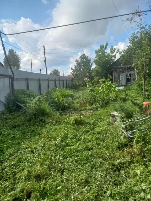 Участок в Новосибирская область, Новосибирский район, с. Верх-Тула ... - Фото 1