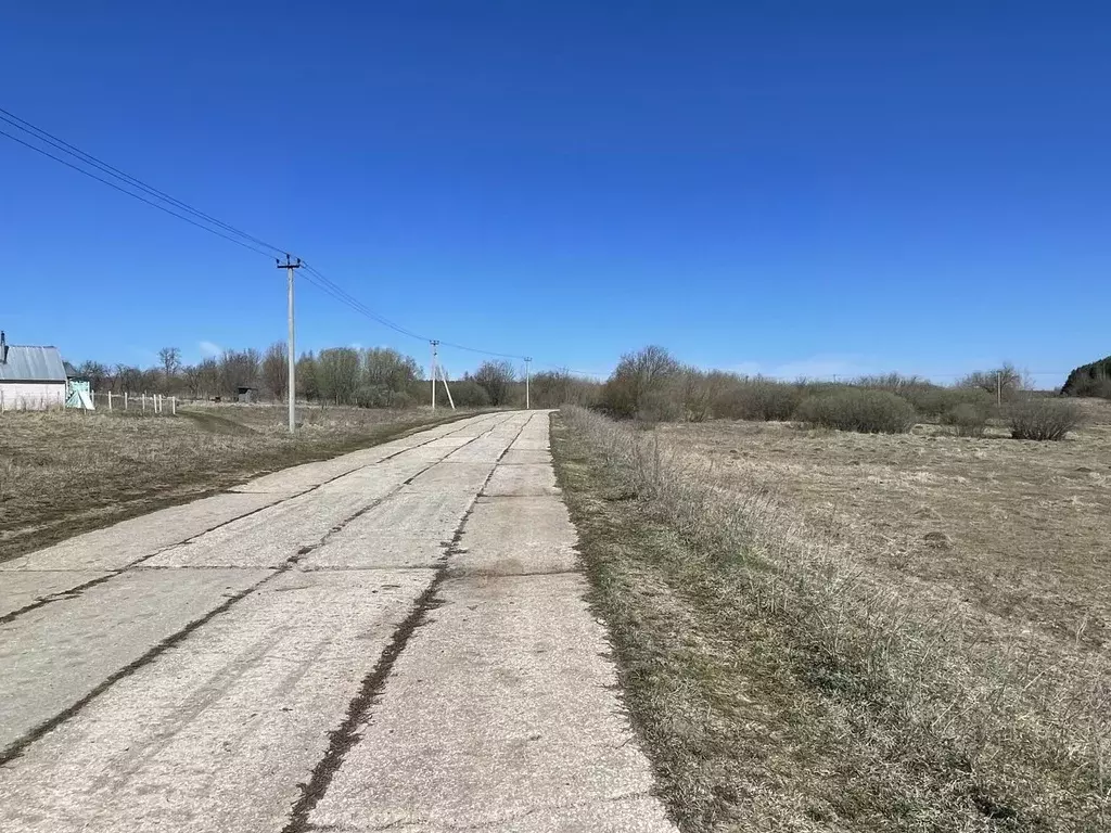 Участок в Нижегородская область, Богородский муниципальный округ, д. ... - Фото 2