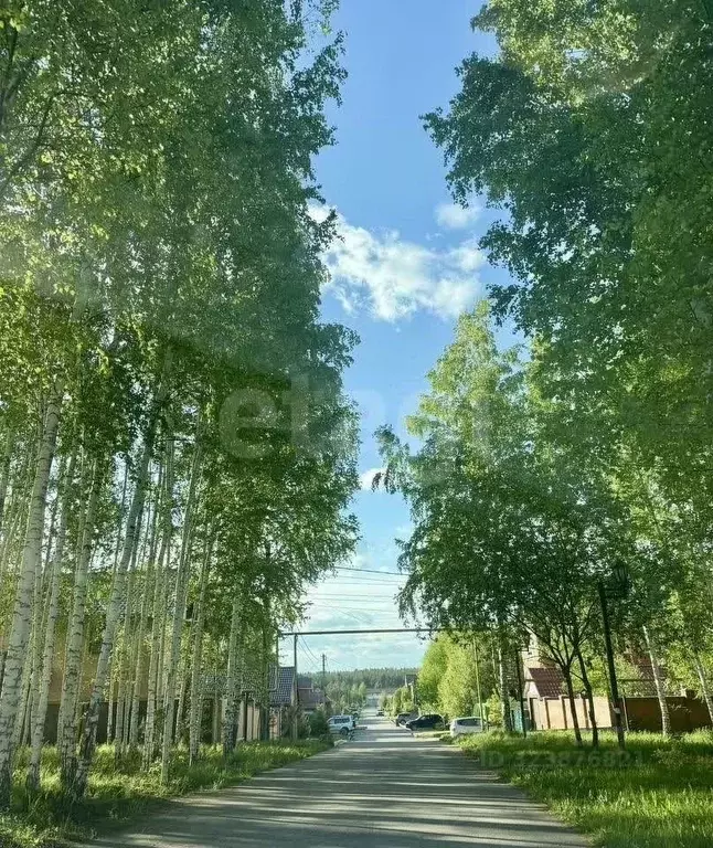 Участок в Новосибирская область, Новосибирский район, Мочищенский ... - Фото 0